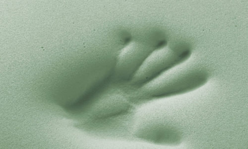 mano verde memory postural foam mano verde memory postural foam