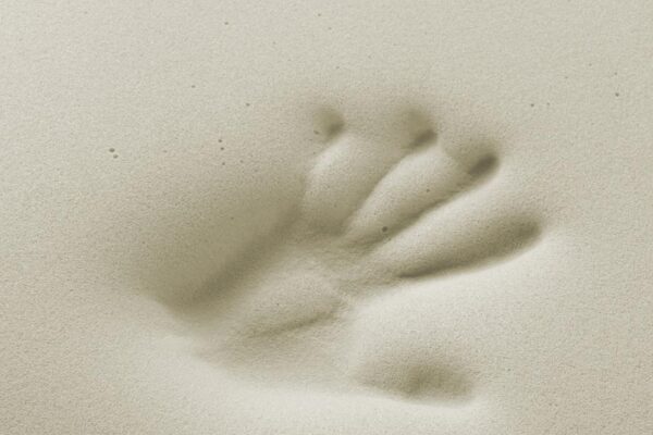 mano bianca materasso memory basic foam