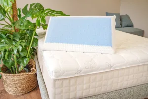 ocean breeze medio alto